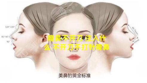 隆鼻不开刀 注入什么 不开刀不打针隆鼻